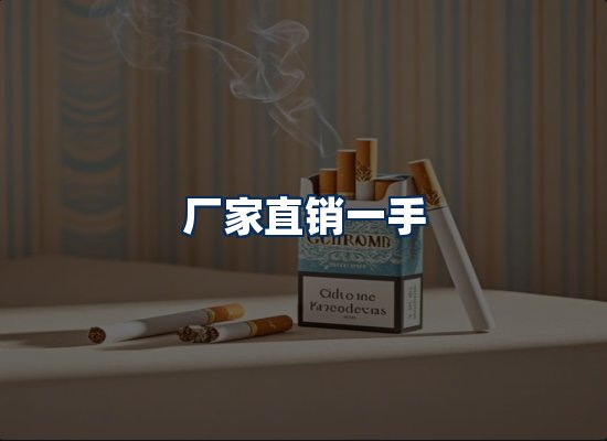 专业团队办公环境